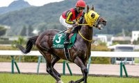 【七夕賞想定騎手】フェーングロッテンは松若風馬騎手、セイウンハーデスは幸英明騎手