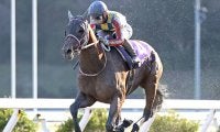 重賞19勝“地方マスター”の父超えへ DG競走4勝馬がプロキオンSでJRA重賞初V目指す