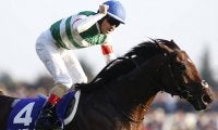 父レイデオロのセレクト2.2億円馬が9日デビューへ 産駒初勝利を届けられるか