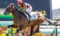【七夕賞予想】休養馬の取捨選択が重要！ カギを握るジョッキーの継続騎乗
