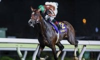 【ジャパンダートダービー】ミックファイアの無敗三冠制覇か、ミトノオーやユティタムの意地が勝るか
