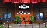 この2年でG1馬8頭を輩出！日本最大のセレクトセール2023が開幕…上場番号1番 キズナ産駒が2億1000万円で落札