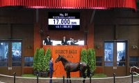 米重賞2勝馬の仔 ダイヤモンドディーバの2022は1億7000万円