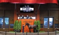 金子真人HDが2億7000万円で落札 BCフィリー＆メアターフ覇者全弟の良血馬