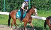 叔父にシャフリヤールやアルアインがいる良血馬 ゴージャスゴールドが初陣/関西馬メイクデビュー情報