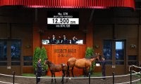 母は米最優秀2歳牝馬 カレドニアロードの2023は1億2500万円