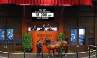米G3馬の仔 ビューティフルギフトの2023は1億6000万円