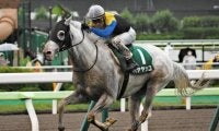 白毛の“二刀流ランナー” 函館記念16年ぶりの連覇なるか