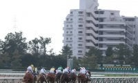 【中京5R新馬戦結果】2番人気のステラスプレンダーが4馬身差で快勝！