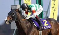 【マーキュリーC注目馬】岩手の夏の名物重賞 バーデンヴァイラーが連覇に挑む