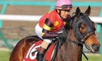 GI馬エイジアンウインズの仔 中京記念で初タイトル狙う
