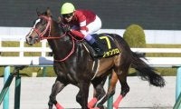 新潟競馬開幕を飾る電撃戦アイビスSD 札幌ではクイーンS/今週の競馬界の見どころ