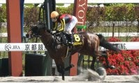 【レパードS想定馬・騎手】鳳雛S逃げ切りVエクロジャイト 無傷2連勝中オメガギネスなど20頭