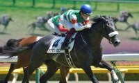 【新潟JS予想】最終障害からゴールまで300m 開幕週も差し馬の台頭に注意