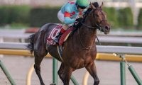 新潟で3歳ダート重賞レパードS、エルムSでオーソリティ復帰/今週の競馬界の見どころ