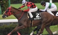 エルムSに2頭の7歳馬が参戦 データ上は厳しくも今年はプラス要素がズラリ