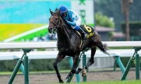 【札幌日経オープン結果】距離延長でブローザホーンが6馬身差の圧勝！
