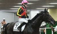 【AI予想・レパードS】週初から首尾一貫！ 本命馬は重賞級のポテンシャルと適性の高さが魅力