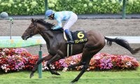 【札幌日経OP】ブローザホーンが6馬身差圧勝…オープン初勝利