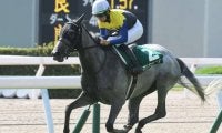サマーマイル関屋記念、サマー2000の小倉記念/今週の競馬界の見どころ