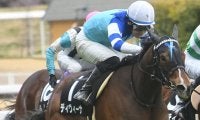 【関屋記念想定騎手】ディヴィーナはM.デムーロ騎手、ララクリスティーヌは菅原明良騎手