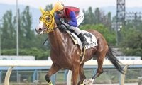 「11戦11勝の怪物」と「米G1・2着の実績馬」が大井・黒潮盃で激突