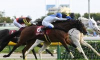 札幌記念は有力馬に乗る騎手の駆け引きに注目も、間隙を突く人気薄馬の大駆けに注意