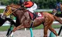競馬ファン40000人が選んだ「思い出の札幌記念」 ソダシやエアグルーヴは何位？