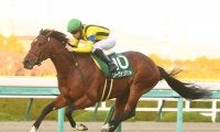 札幌記念の注目は「札幌・芝2000ｍ」に強いオルフェーヴル産駒と、４歳夏以降の成長に期待のモーリス産駒