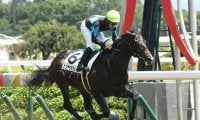 キーンランドCと新潟2歳S 札幌でWASJ開催/今週の競馬界の見どころ