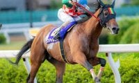 JpnII・2着の実績馬が他馬を圧倒するか/川崎・スパーキングサマーC
