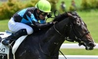 デビュー戦5馬身差V エイシンヒカリ産駒が新潟2歳SでJRA重賞初制覇なるか