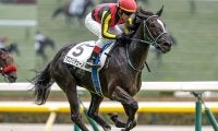 父は過去2勝のダイワメジャー 良血馬が新潟2歳Sで無傷の重賞V狙う