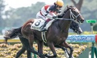 前走1800m組は苦戦傾向？ 新潟2歳Sで過去0勝のジンクスに2頭が挑戦