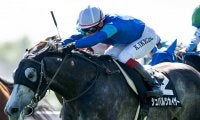 しらかばSレコードVの快速馬がキーンランドCに 史上初の外国産馬V狙う