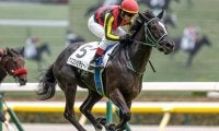 【新潟2歳S予想】鬼門となる“東京芝1400m”からの距離延長 ジョッキーに託された好走へのカギ