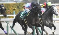 【AI予想・キーンランドC】初志貫徹の本命馬！ 不安要素皆無で力通りの走りに期待大