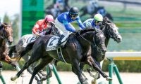 【新潟2歳S予想】世代最初のマイル重賞 左回り経験馬に要注意！
