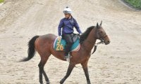 両親ともにGI馬の超良血馬 ルメール騎手を背に今週末初陣