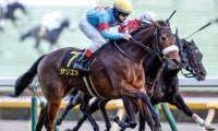 【新潟記念想定騎手】サリエラはC.ルメール騎手、ノッキングポイントは北村宏司騎手