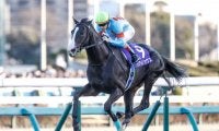 一流馬を輩出する名種牡馬「ヘイロー」 日本向きのスピードを受け継ぐ配合パターンとは？