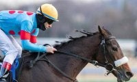 兄はGIウイナー、姉は有馬記念2着の超良血 新潟記念で待望の重賞制覇なるか