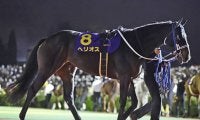 【佐賀競馬】初のナイター開催のサマーチャンピオン 佐賀の夜に栄冠を掴むのはどの馬か