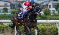 OP3勝も重賞は2着5回 7歳セン馬が悲願の初タイトルへ/佐賀・サマーチャンピオン注目馬
