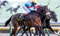 【新潟記念出走馬・騎手確定】サリエラ＆C.ルメール騎手、ノッキングポイント＆北村宏司騎手など14頭