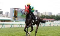 道営所属の2歳セン馬が札幌2歳S参戦 7年ぶり4回目の地方馬V目指す