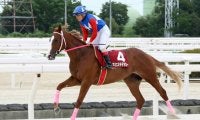 【園田・若駒賞】マミエミモモタローが7馬身差V…川原「将来性を感じた」