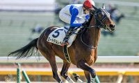【今日の注目ポイント】出世の登竜門・札幌2歳S、新潟10Rで無傷連勝中のロードデルレイ復帰など