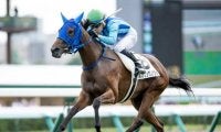 【札幌5R新馬戦結果】6番人気のスプリングノヴァが逃げ切ってデビューV