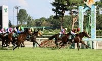 【新潟記念】良血ノッキングポイントが重賞初制覇